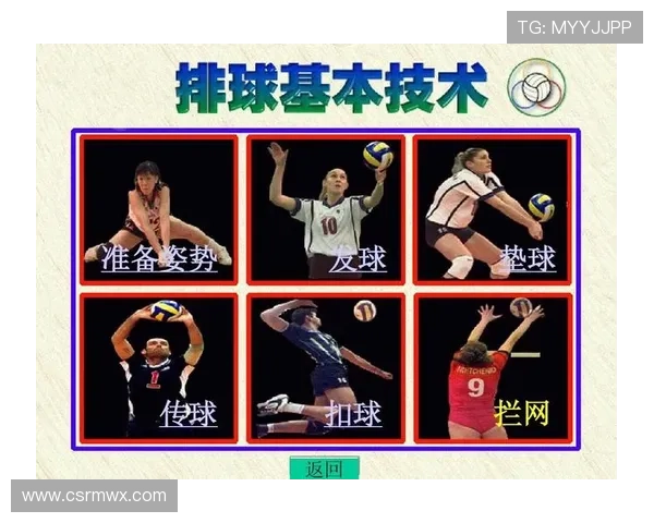 从零起步全面掌握排球战术技巧与实战应用指南