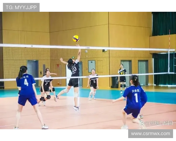 南京排球队心理素质夺冠排球心理素质排行榜揭晓